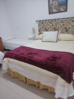 Apartamento las palmeras la salada estepa - 3