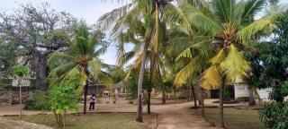 Mbuyu villa - 6