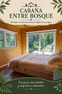 Entre Bosque - 2