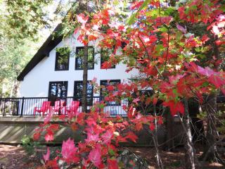 Serendipity Hideaway -Fall Foliage Lakefront Gem - Cozy Fireplace & Firewood Included - Rated 10 on 100 - 9