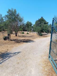 Trullo Cosimo, Gallipoli - 6