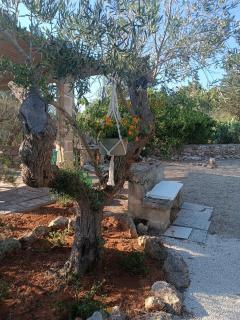Trullo Cosimo, Gallipoli - 3