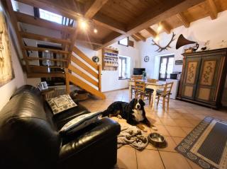 Loft della Perpetua, di Casa Bernardi fuga romantica con Area Cani - 4