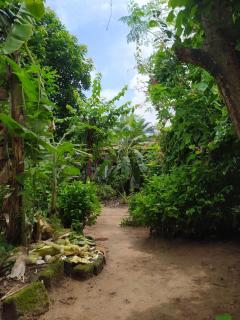 Chez Yaya - Chambre Double "Bleue", Calme & Nature - 1