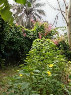 Chez Yaya - Chambre Double "Bleue", Calme & Nature - 7