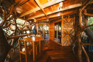 Simbiosis Treehouse Lower Suite - 9