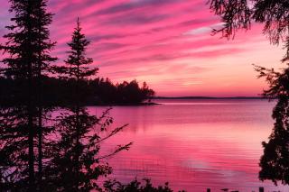 Upscale Beachfront Log Home on Lake Huron Shores - 7