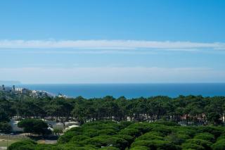 Summer in Paradise - Sea View and Pool in Ericeira - 2