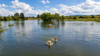 Rancho Maravilla, Lago privado, chimenea y fogatas de otoño - 9