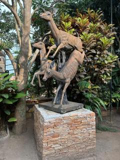 Bonjour Safari Resort - 4