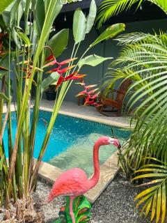 Casa Lani - 4