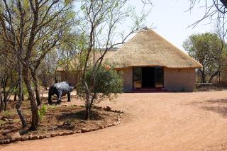 Lords and Ladies Bush Lodge - Hammanskraal - 9