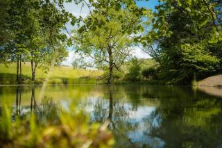 Secluded Hocking Hills Villa with Pond and Hot Tub - 1