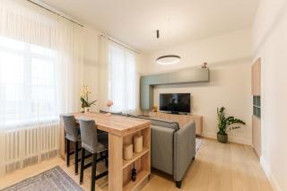 Dandelion Apartments Raina - 0