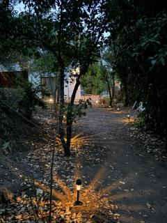Le Cocon - 2