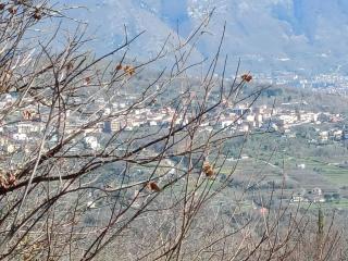 S13S Trail Italy - 4