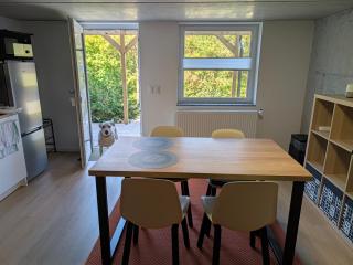 Modern Living im Hochspessart - 7