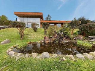 Villarrica Lake Views - Pool, Jacuzzi & Gardens - 9