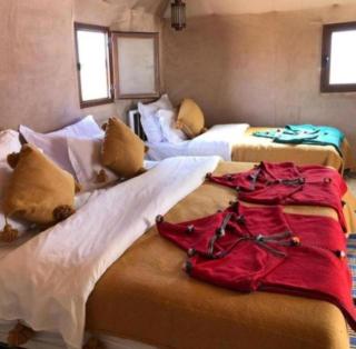 Sahara Royal Camp - 1