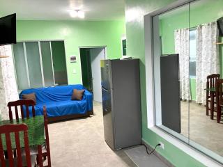 OCEAN VIEW 1 bedroom 2 baths apt Dorada beach - 9