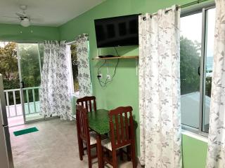 OCEAN VIEW 1 bedroom 2 baths apt Dorada beach - 8