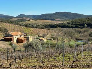 Gîte 9 pers, Parc Régional Haut Languedoc proche Roquebrun - 0