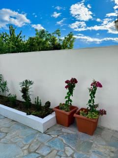 Cozy apartment Ano Poroia - 4