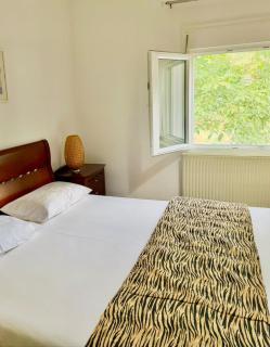 Cozy apartment Ano Poroia - 2