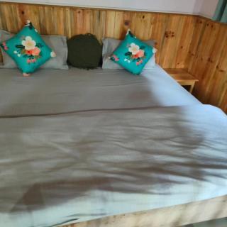 Orchard whisper cottage tirthan - 9