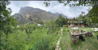 Orchard whisper cottage tirthan - 2