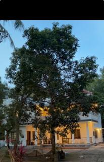 Firangipani Stories - 7