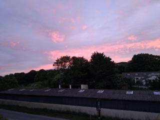 The Rivers Arms - 8