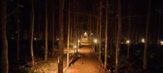 cocoon farmstay - 2