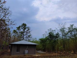 cocoon farmstay - 1