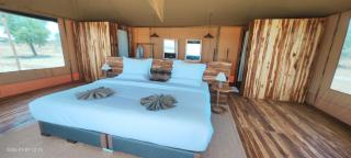 Asama Serengeti Camp - 4