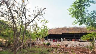 The Treehouse Experience - 5