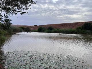 ferme ASSALAM piscine cheminée et lac à 140 m - El Jadida - 7