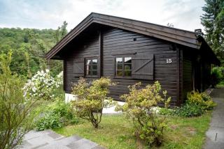 Bergblick Willingen - 9