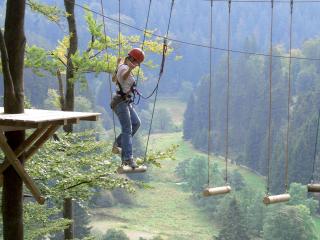 Chalet Papillon - 2