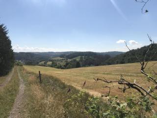Glühalm Willingen - 2