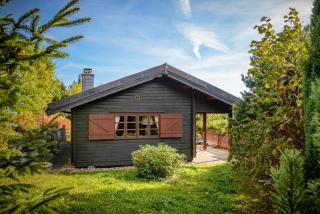 Hirsch Chalet - 9