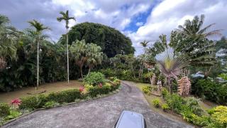Little Haven - 4