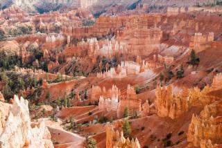 Coral Ridge Oasis 30 Mins From Zion NP 2 Pools - 4