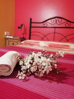 Casa Roseta Riglos - 2