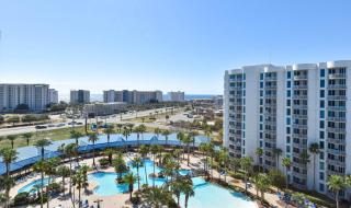 The Palms Of Destin 11005 Junior - 8