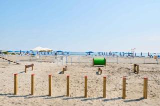Houses and Apts. in Albarella 24882 - 1