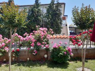 Apartment Beachfront in Novigrad-Istrien 44244 - 7