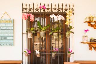 Hotel Posada Loma - Fortín de las Flores - 8