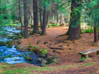 Black Butte Ranch: Hedge Nettle Cabin - Sisters - 8