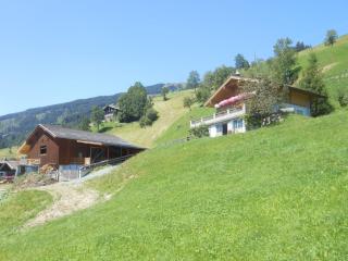 Sunlit Apartment near Ski Area in Hollersbach im Pinzgau - 9